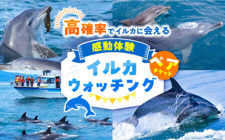 南島原 イルカウォッチング ペア チケット / イルカ 観光 体験 南島原市 / 南島原イルカウォッチング [SAE001]