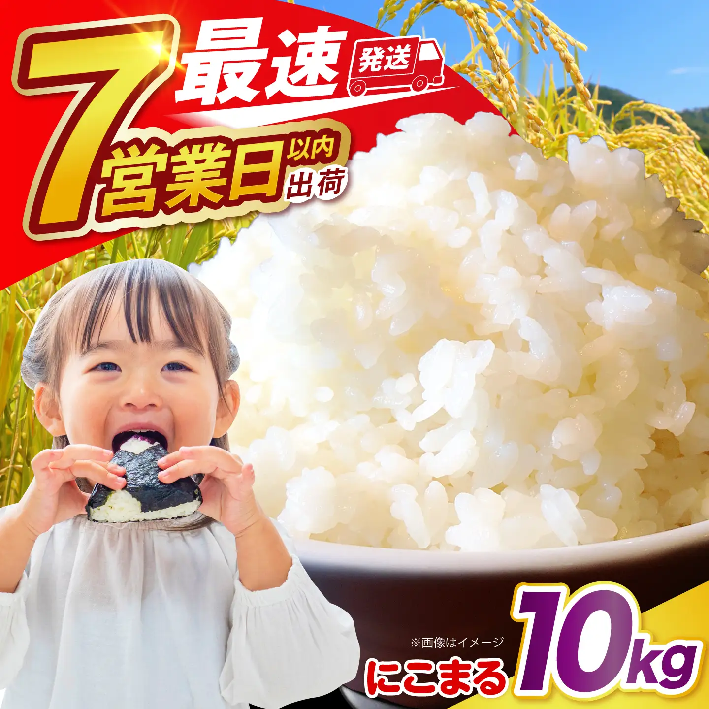 にこまる10kg / 米 お米 精米 白米 / 大松屋商店 [SDR005]