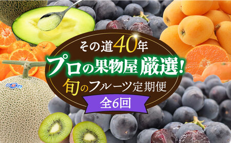 【6回】フルーツ定期便 旬のフルーツ [SDZ022]
