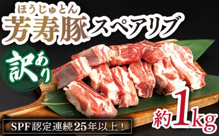 【訳アリ】やっちゃおいしか芳寿豚のスペアリブ / 豚肉 ほうじゅとん SPF豚 spfポーク / 南島原市 / 芳寿牧場 [SEI006]