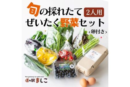 野菜 卵付き 旬の野菜セット 2人用 益子町 AA001