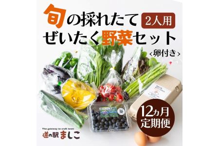 野菜 定期便 卵付き 旬の野菜セット 2人用 12ヶ月定期便 益子町 AA035