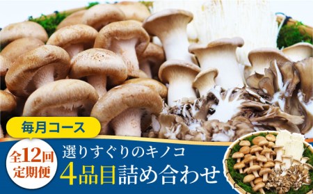 【12回定期便】きのこ 定期便 4品目 [SCZ015]