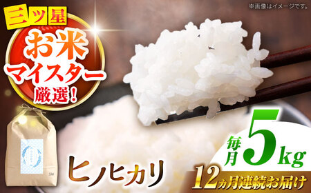 【南島原市産ヒノヒカリ】5kg×12回 定期便 / ひのひかり 米 お米 こめ コメ 精米 / 南島原市 / 林田米穀店 [SCO003]