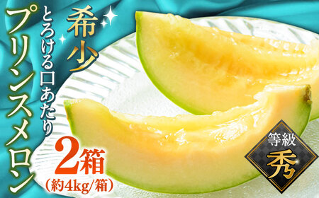 【2027年4月下旬-発送】【根強い人気！】 プリンスメロン 2箱 セット（1箱 7?13玉）  / メロン 南島原市 / 南島原果物屋 [SCV008]