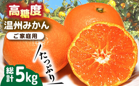 【2026年11月下旬-発送】【高糖度】 温州みかん 約5kg / みかん ミカン 蜜柑 長崎県産みかん 糖度 果物 くだもの フルーツ ふるーつ 旬 家庭用 5kg / 南島原市 / 南島原果物屋 [SCV011]