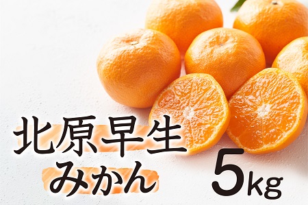 AA139.【予約受付・期間限定商品】北原早生みかん（5kg程度）.2026年10月～11月配送