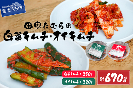 キムチ 本場韓国人の作るキムチ！田家たむらの白菜キムチとオイキムチのセット 漬物