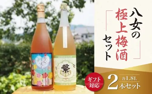 【ギフト用】八女の極上梅酒セット（ギフト対応）純米酒仕込み 飲み比べ 本格梅酒 ロック お酒 ギフト プレゼント 福岡県 八女市 015-013-GFT