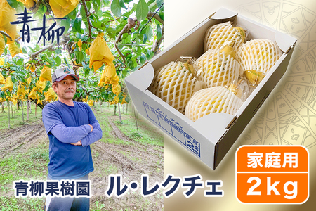【2026年先行予約】新潟特産 幻の洋梨ル・レクチェ 家庭用 2kg（5～7玉）《11月下旬～順次発送》 青柳果樹園