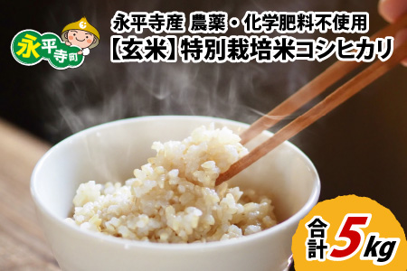 【玄米】 令和7年度産 永平寺町産 農薬不使用・化学肥料不使用 特別栽培米 コシヒカリ 5kg  ５キロ 5kg 米  米 お米 コメ 送料無料 こしひかり 福井　B-033056