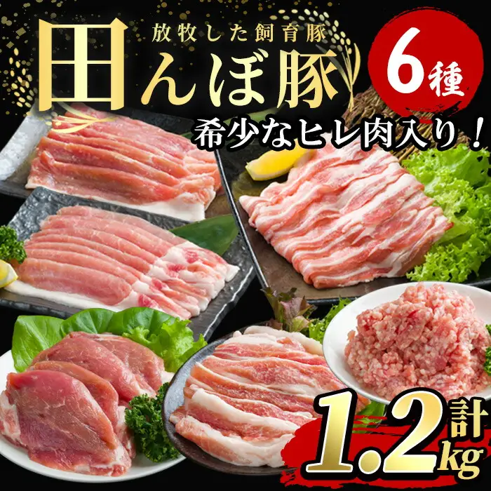 ≪希少なヒレ肉入り≫ 田んぼ豚セット 計1.2kg (200g×6種) 豚肉 肉 お肉 冷凍 にく 登米市産 ヒレ厚切り ロース バラ モモのスライス 肩焼肉用 ひき肉 【株式会社いなほ】tm269