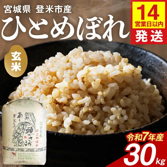 ≪令和7年産≫ ひとめぼれ 玄米 30kg 登米市産 お米 おこめ 米 コメ ご飯 ごはん おにぎり お弁当 【登米ライスサービス株式会社】tm142