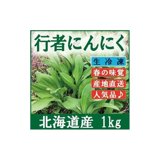 北海道岩見沢市産 令和8年度産 行者にんにく葉(冷凍) 1kg【09118】[a107-033]