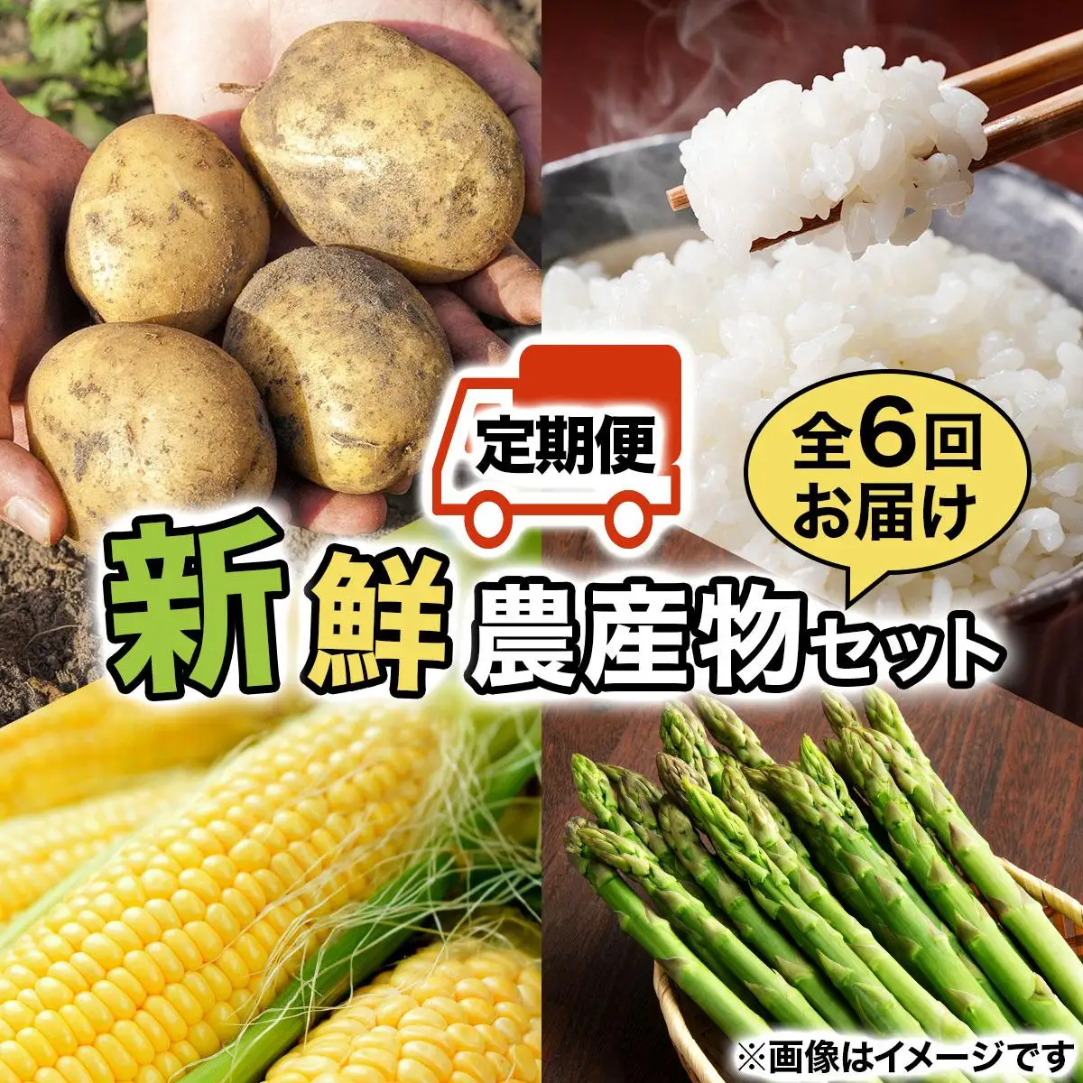 ＜先行予約＞いわみざわの新鮮農産物セット(5or6月～11月 全6回)※定期便【11106】