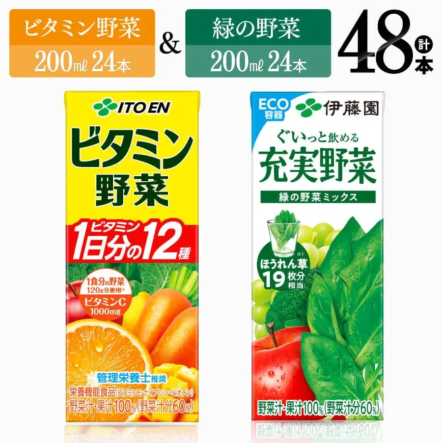 伊藤園 ビタミン野菜(紙)24本＋緑の野菜(紙)24本 【 飲料類 野菜ジュース ビタミン野菜ジュース 緑の野菜 ジュース 野菜ジュース セット 詰め合わせ 飲みもの ジュース 】