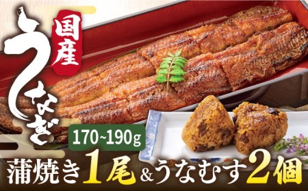 【お中元対象】蒲焼き 1尾 ＆ うなむす 2個 セット 糸島市 / 北ノ屋うなぎ [ACL006] 鰻 かばやき