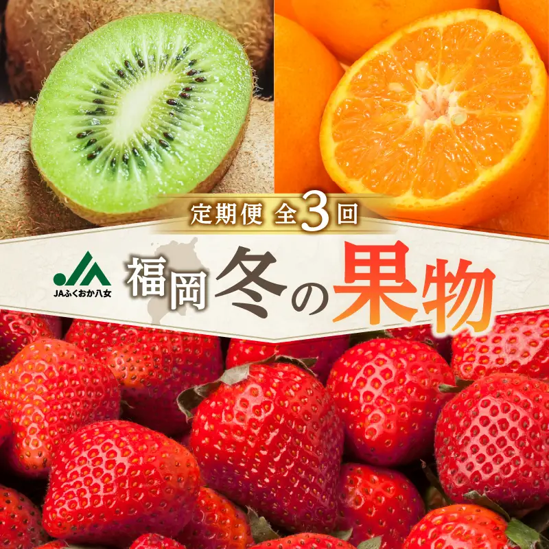 福岡冬の果物定期便【全3回】冬のお届け便 JAふくおか八女からお届け