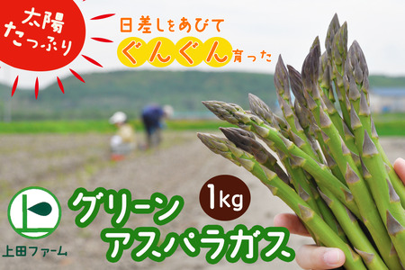 【令和8年産先行受付】上田ファームのグリーンアスパラガス　1kg《数量限定》