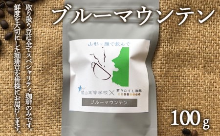 【煎りたてL珈琲】ブルーマウンテン(100g) FZ22-416