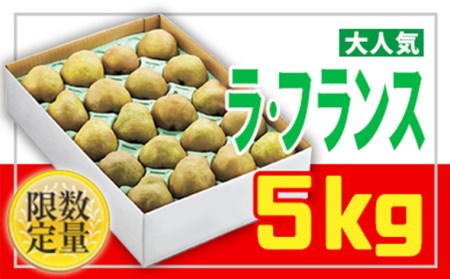 ☆フルーツ王国山形☆【家庭用】ラ・フランス 5kg FZ26-805
