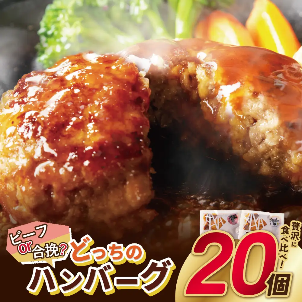 Y61-31 どっちのハンバーグ!?デミグラスソース20個セット（ビーフ・合挽 各10個） ハンバーグ