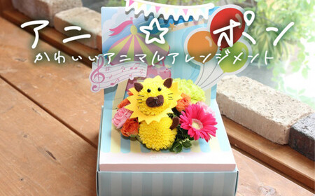 アニ☆ポン（ライオン）  花 生花 花束 動物 ライオン 可愛い ギフト プレゼント