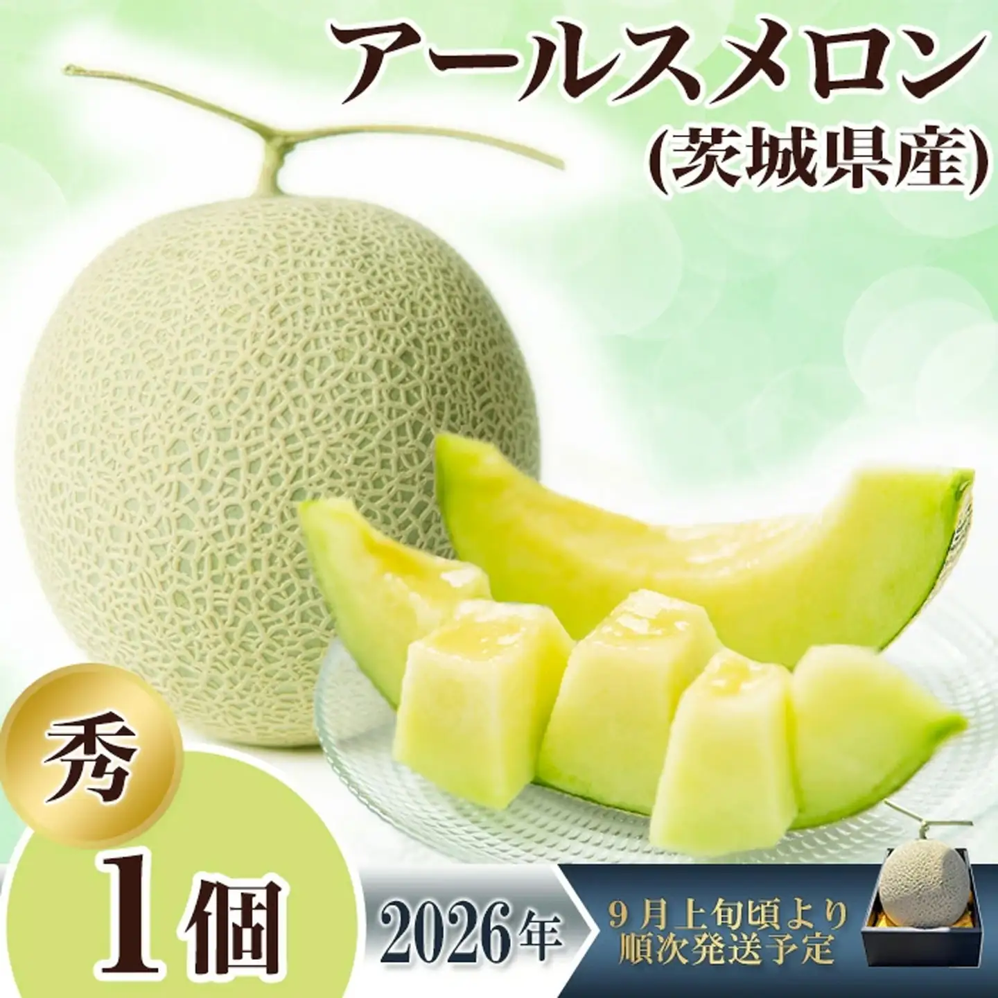 メロン 茨城県産 R8年産 アールスメロン 秀品 1個