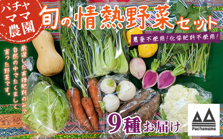 野菜 無農薬 農園自慢の情熱野菜セット 9品