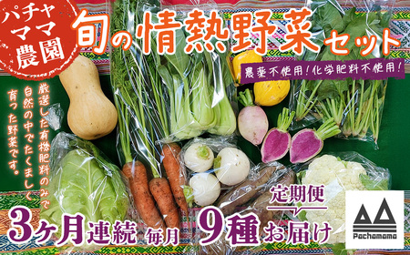 野菜 無農薬 農園自慢の情熱野菜セット 9品 【 3ヶ月 連続 お届け 】