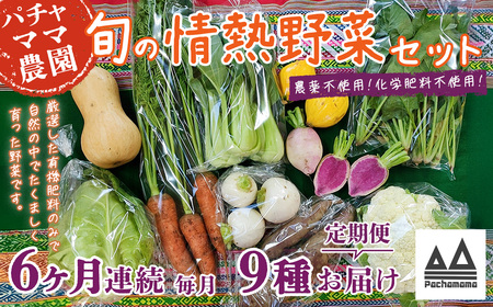 野菜 無農薬 農園自慢の情熱野菜セット 9品 【 6ヶ月 連続 お届け 】