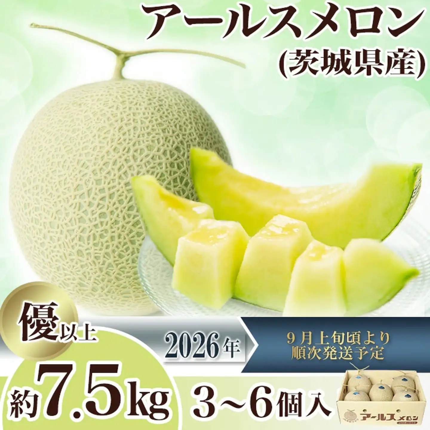 メロン 茨城県産 R8年産 アールスメロン 約7.5kg 3～6個