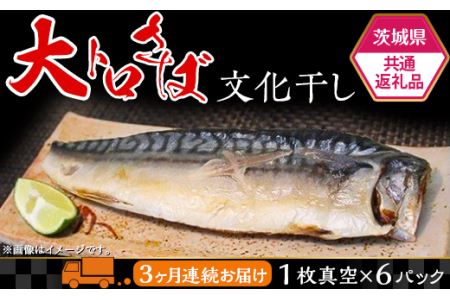 茨城限定 極上干物 大トロさば文化干し【 定期品 3ヶ月 連続お届け 】【 大トロ さば 鯖 文化干し サバ パック 干物 おかず 便利 魚 焼き魚 】【茨城県共通返礼品/神栖市】