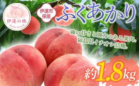 【2026年出荷分先行予約】福島県産 ふくあかり 約1.8kg (6～12玉) あかい果樹園 伊達の桃 桃 フルーツ 果物 もも モモ momo F20C-505