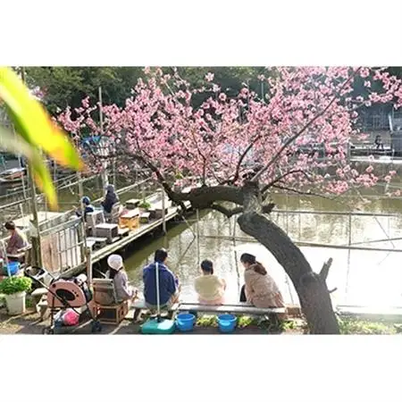 彩湖・道満グリーンパーク　道満河岸つり場　金魚つり場1日利用券2枚_旅行券・チケット 釣り 体験チケット _【1073338】