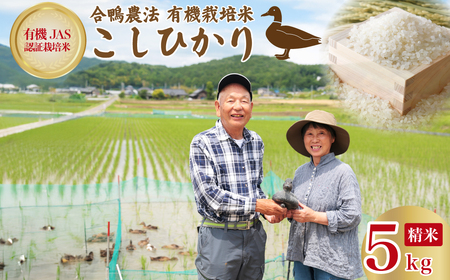 こしひかり 白米 5キロ  2週間以内発送 オーガニック あいがも 有機米 農薬 ・化学肥料不使用 合鴨常陸青龍米