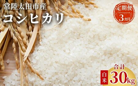 【米】定期便 令和7年産 米 コシヒカリ10kg（全3回）