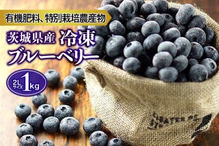 【数量限定】冷凍ブルーベリー 1kg 【6月下旬から順次発送予定】 9-I