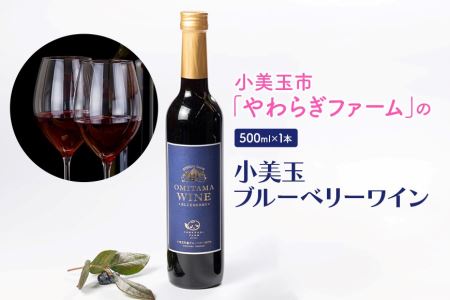 小美玉ブルーベリーワイン1本 ブルーベリー ワイン ブルーベリーワイン フルーツ 果物 ビタミンE アントシアニン 栄養 目にいい 健康 美容 ギフト 贈り物 茨城県産 プレゼント お酒 美味しい お祝い 9-J