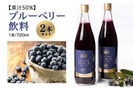 果汁50％ブルーベリー飲料2本セット ブルーベリー ブルーベリー飲料 フルーツ 果物 フルーツジュース ジュース ビタミンE アントシアニン 栄養 目にいい 健康 美容 瞳の健康 ギフト 贈り物 茨城県産 人気 プレゼント セット ドリンク 9-L