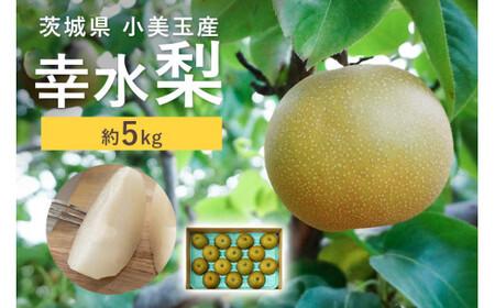 【数量限定 / 夏季限定】 梨（幸水） 約5kg 梨 なし ナシ 日本梨 こうすい コウスイ 17-C 【8月中旬～下旬発送予定】