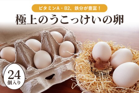 平飼い極上のうこっけいの卵24個（20＋補償4個） たまご タマゴ 玉子 烏骨鶏 烏骨鶏の卵 安全 テレビ TV マニアさん 健康 美容 ご飯 すき焼き 目玉焼き 卵焼き 玉子焼き たまご焼き 卵かけご飯 卵かけごはん TKG 卵 ＜TBS系列『熱狂！1/365のマニアさん』やBSテレビ東京『都会を出て暮らそうよ』で紹介のうこっけいおみたまごファーム＞ 37-A