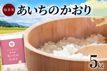 知多米 あいちのかおり5kg お米 白米 うるち米 おこめ 国産 精米 ご飯 おにぎり 朝ごはん ライス 和食 日本食 主食 食卓 お弁当 大粒 つや あっさり 食品 知多半島 お取り寄せ 5キロ 愛知県 知多市 特産品