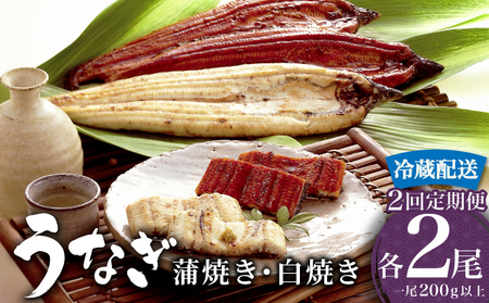 うなぎ 蒲焼き 白焼き 食べ比べセット 計800g (各200g×2尾×2回) 