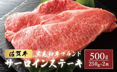 佐賀牛サーロインステーキ 500g (250g×2枚)