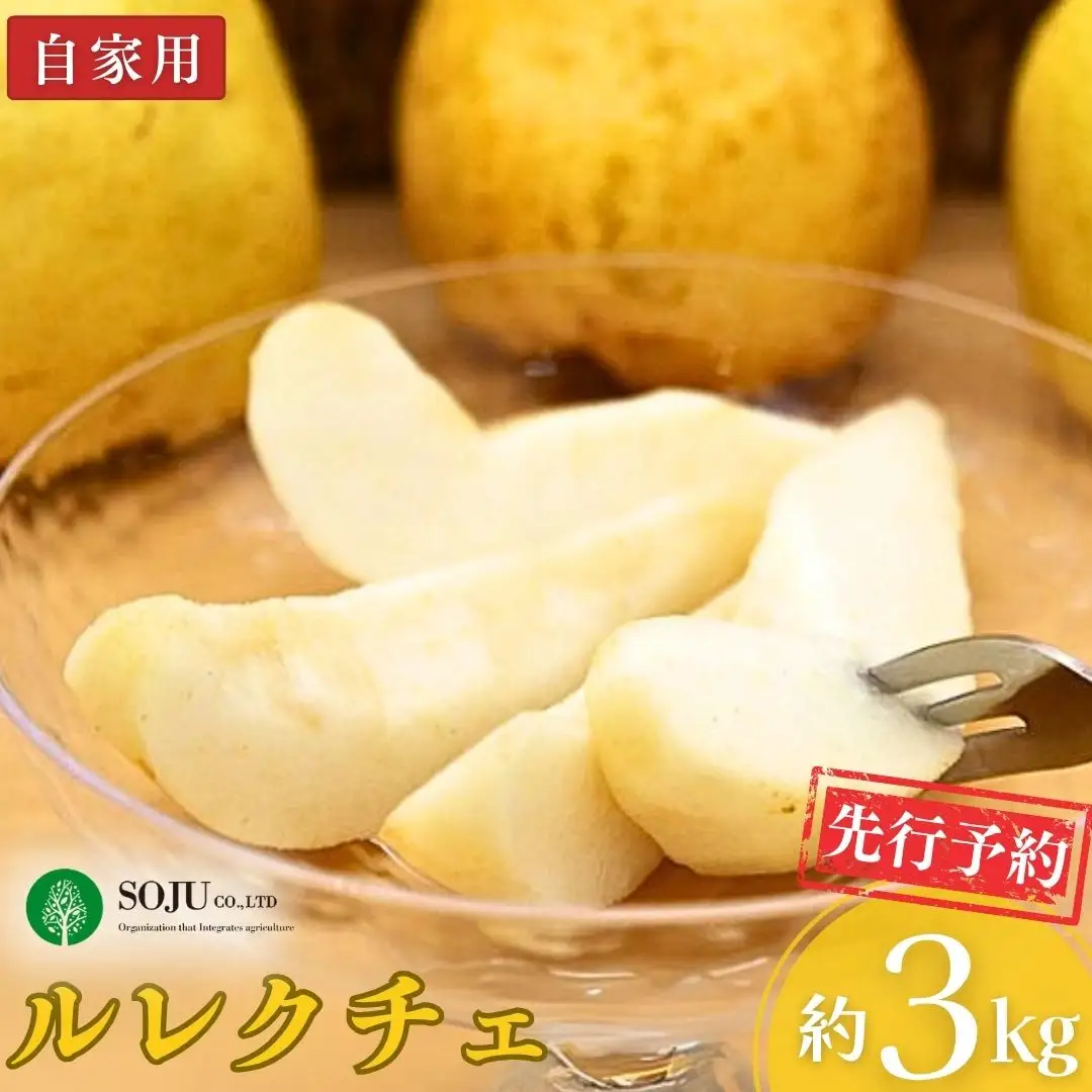 先行予約 ル レクチェ 自家用 約3kg 洋梨 JGAP認証農場 幻の西洋梨 新潟県 三条市産 冬限定
