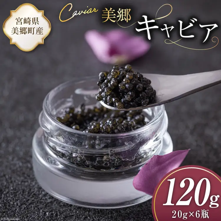 美郷 キャビア チョウザメ 120g [宮崎キャビア 宮崎県 美郷町 31az0018]