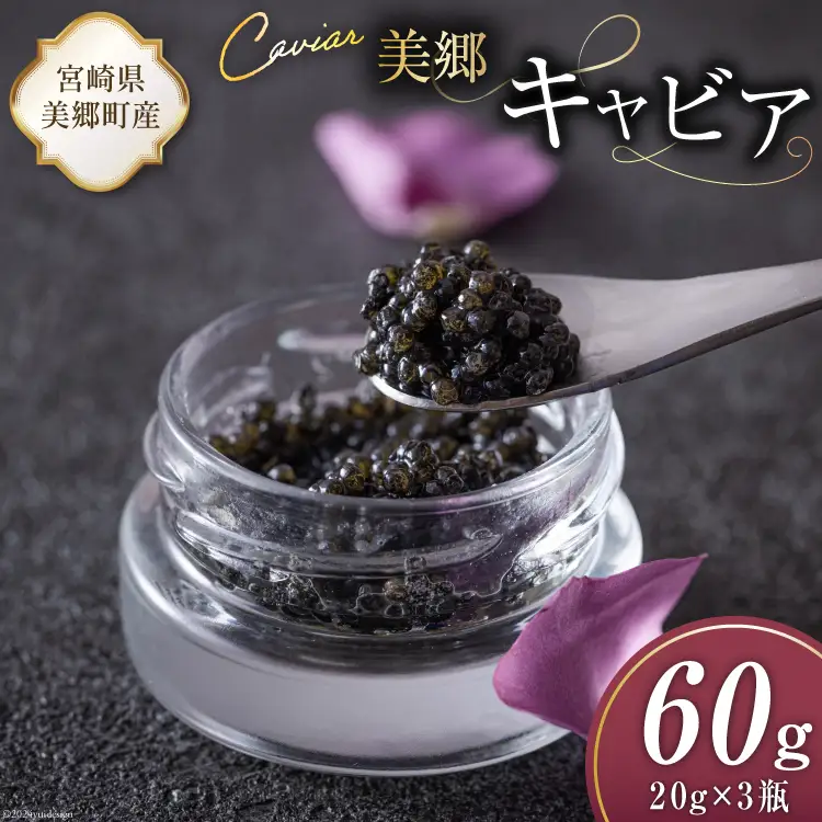 美郷 キャビア チョウザメ 60g [宮崎キャビア 宮崎県 美郷町 31az0015]