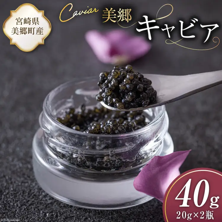 美郷 キャビア チョウザメ 40g [宮崎キャビア 宮崎県 美郷町 31az0013]