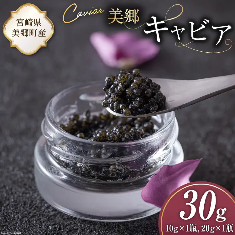 美郷 キャビア チョウザメ 30g [宮崎キャビア 宮崎県 美郷町 31az0012]